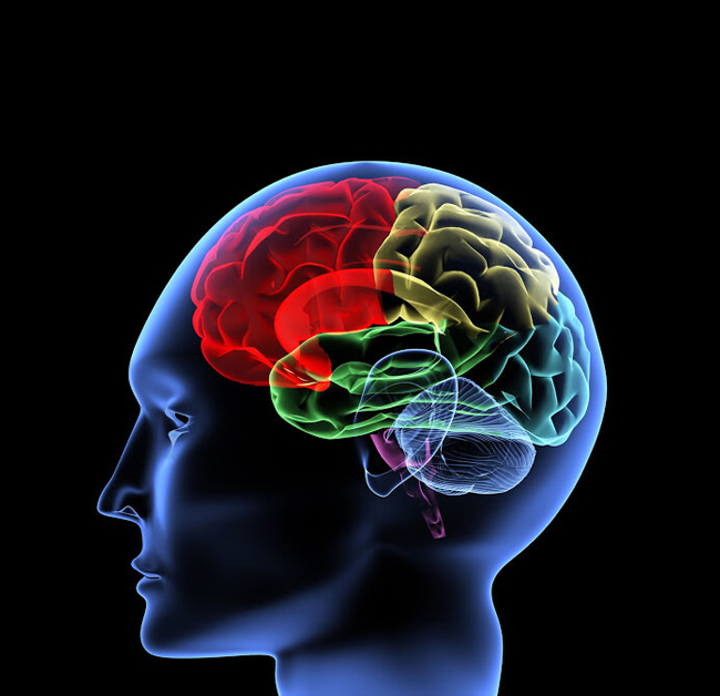 Whyte Avenue Psychological Concussion treatment